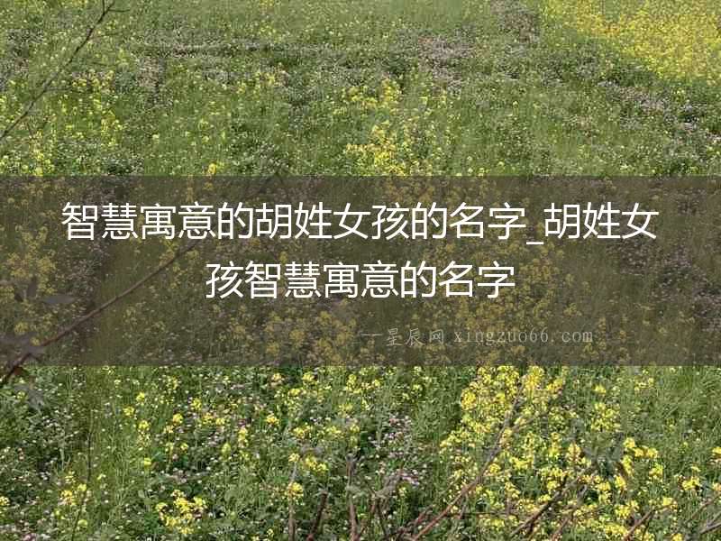 智慧寓意的胡姓女孩的名字_胡姓女孩智慧寓意的名字