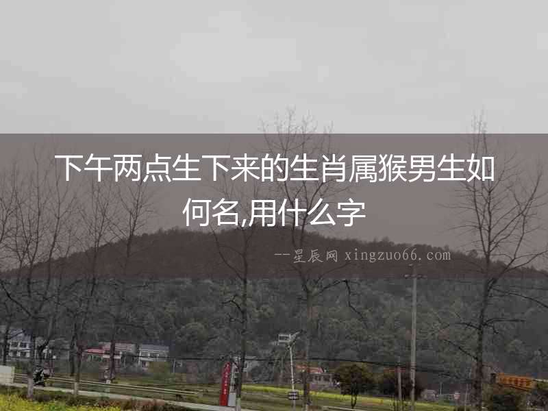 下午兩點生下來的生肖屬猴男生如何名,用什么字