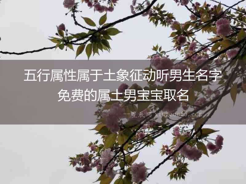 五行屬性屬于土象征動聽男生名字免費的屬土男寶寶取名