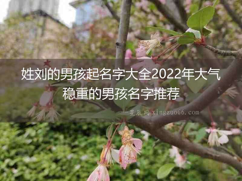 姓劉的男孩起名字大全2022年大氣穩重的男孩名字推薦