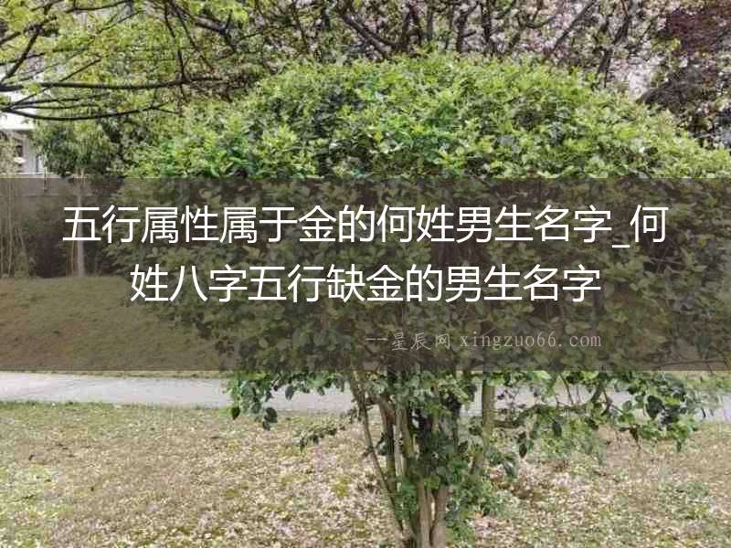五行屬性屬于金的何姓男生名字_何姓八字五行缺金的男生名字