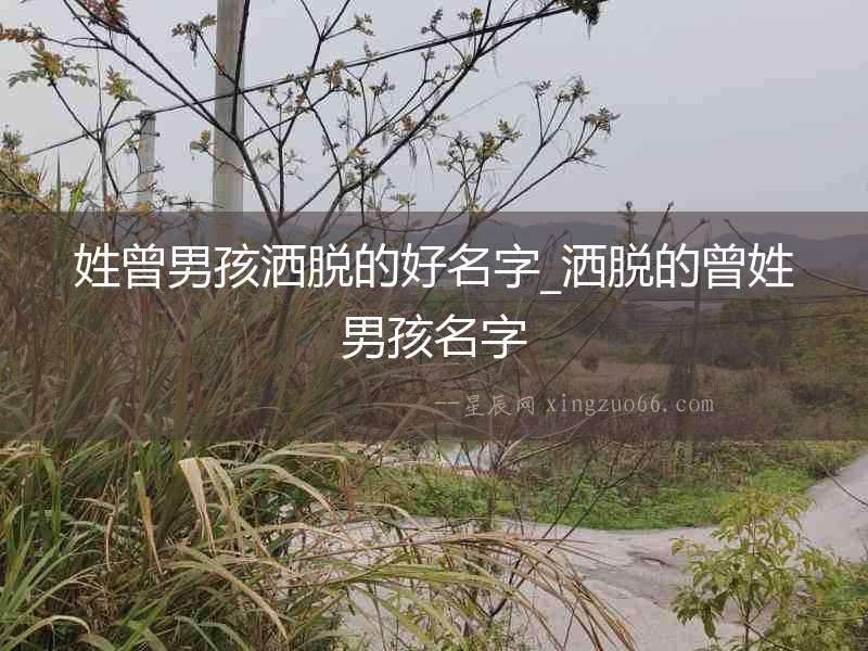 姓曾男孩灑脫的好名字_灑脫的曾姓男孩名字