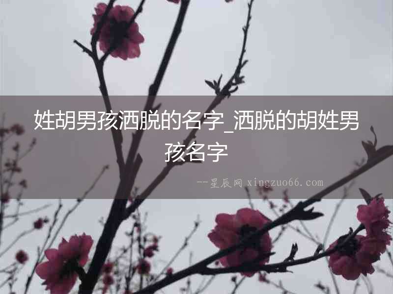 姓胡男孩灑脫的名字_灑脫的胡姓男孩名字