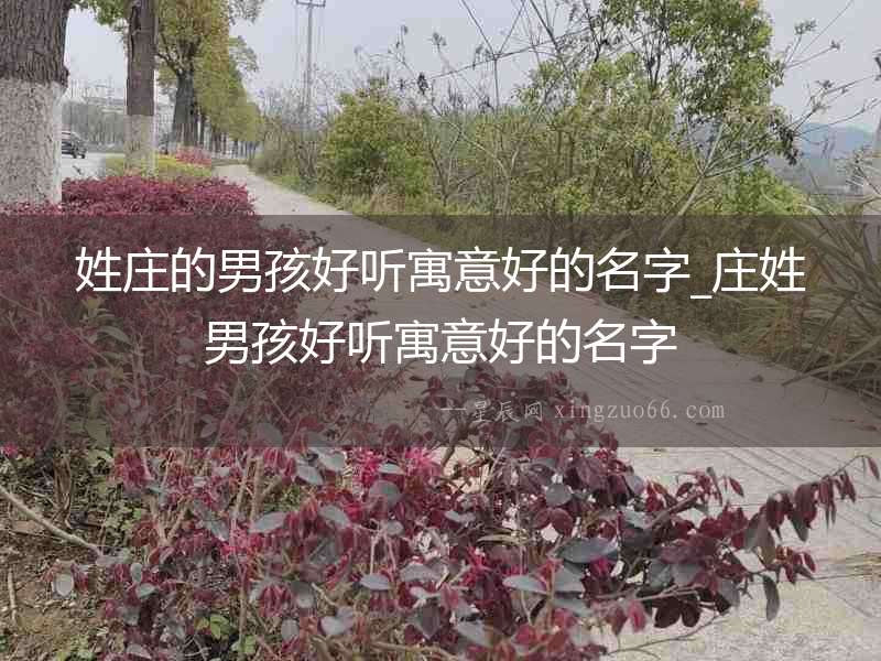 姓莊的男孩好聽寓意好的名字_莊姓男孩好聽寓意好的名字