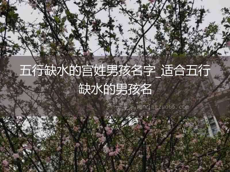 五行缺水的宮姓男孩名字_適合五行缺水的男孩名