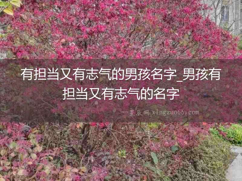 有擔當又有志氣的男孩名字_男孩有擔當又有志氣的名字