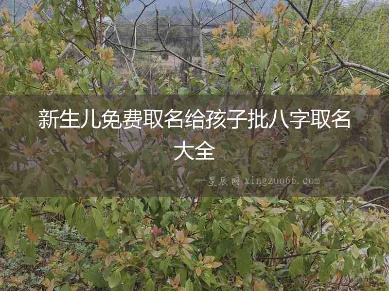 新生兒免費取名給孩子批八字取名大全