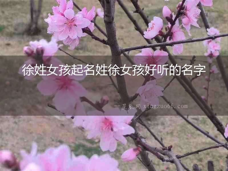 徐姓女孩起名姓徐女孩好聽的名字