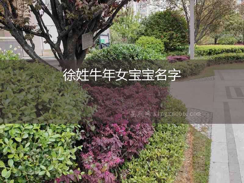 徐姓牛年女寶寶名字