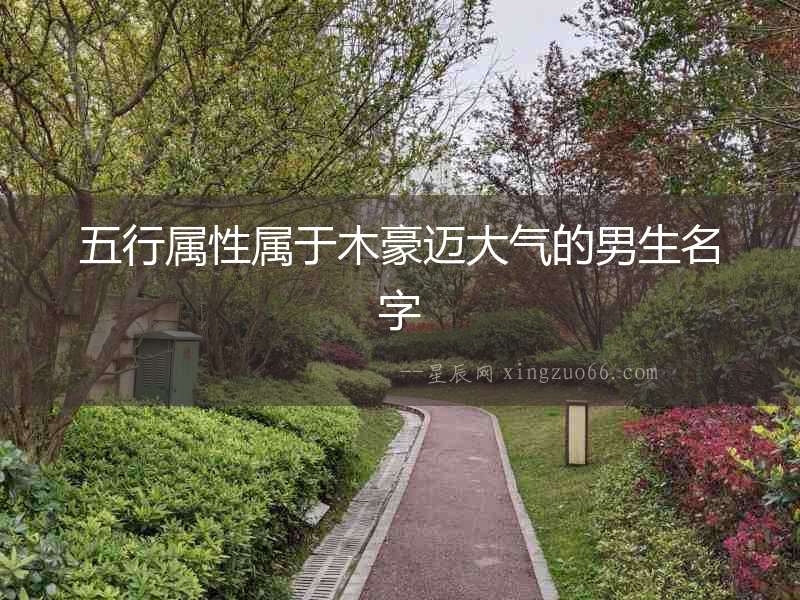五行屬性屬于木豪邁大氣的男生名字