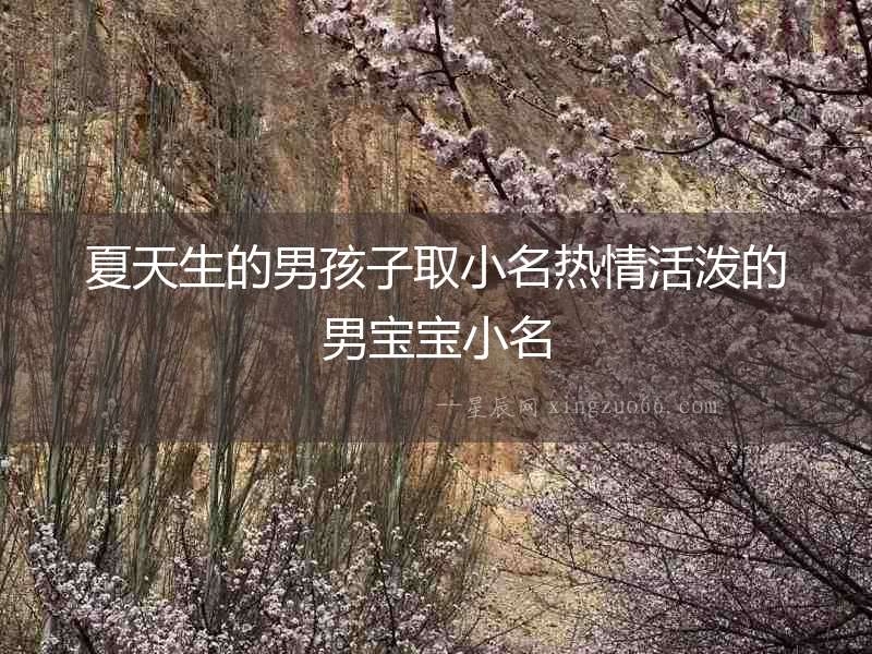 夏天生的男孩子取小名熱情活潑的男寶寶小名