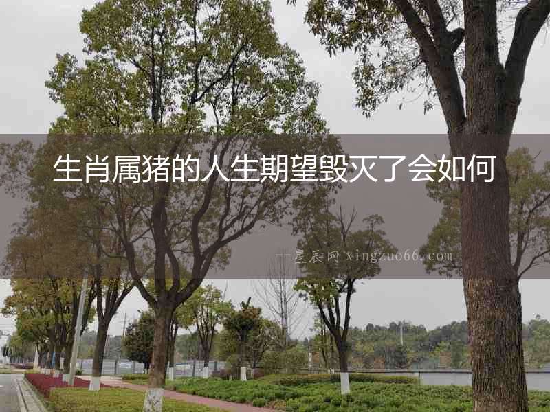 生肖屬豬的人生期望毀滅了會如何