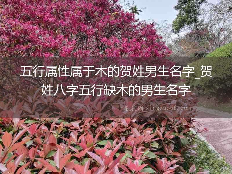 五行屬性屬于木的賀姓男生名字_賀姓八字五行缺木的男生名字