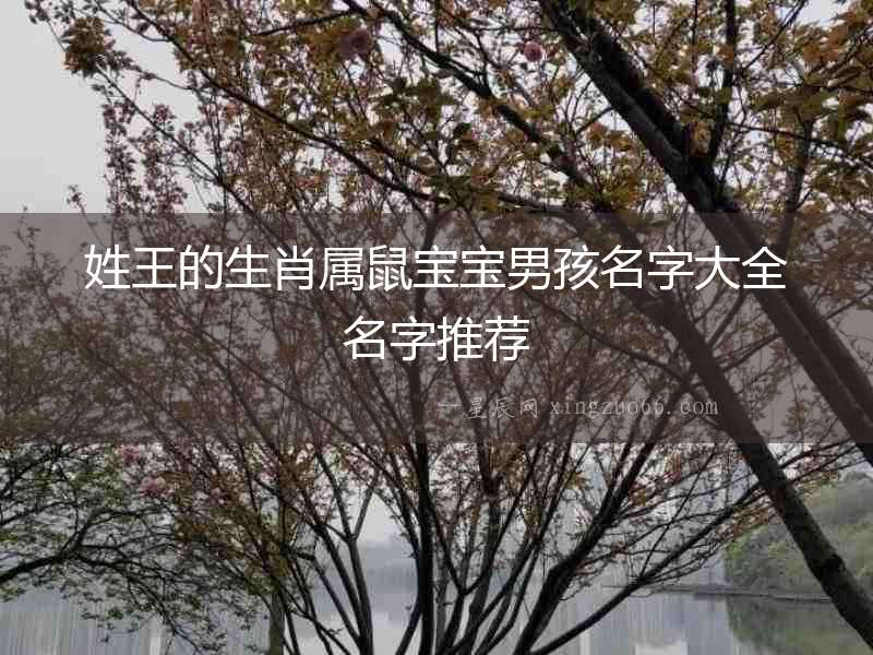 姓王的生肖屬鼠寶寶男孩名字大全名字推薦