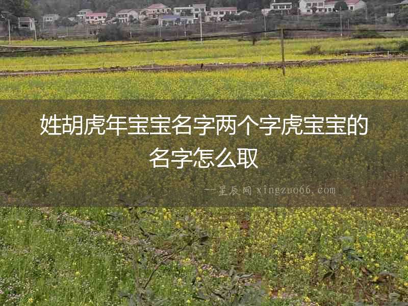 姓胡虎年寶寶名字兩個字虎寶寶的名字怎么取