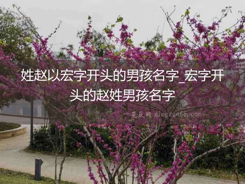 姓趙以宏字開頭的男孩名字_宏字開頭的趙姓男孩名字