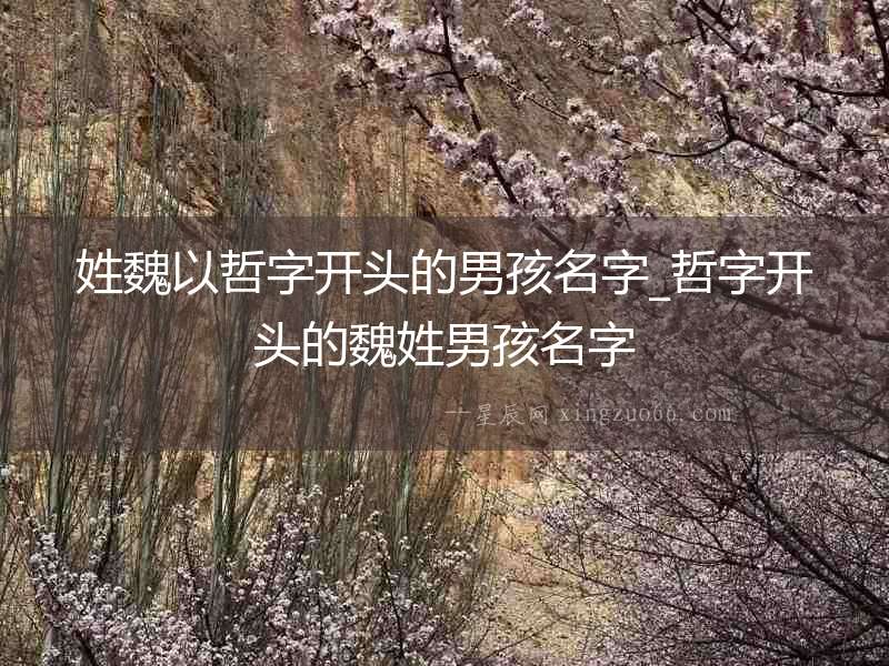 姓魏以哲字開頭的男孩名字_哲字開頭的魏姓男孩名字