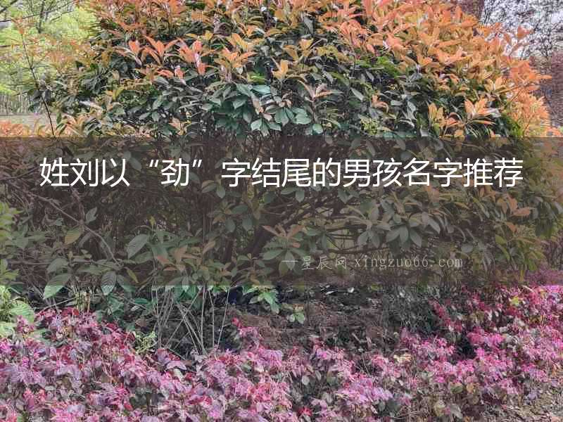 姓劉以“勁”字結(jié)尾的男孩名字推薦
