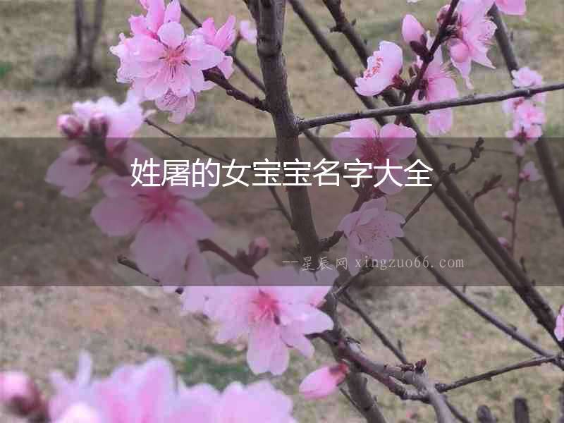 姓屠的女寶寶名字大全
