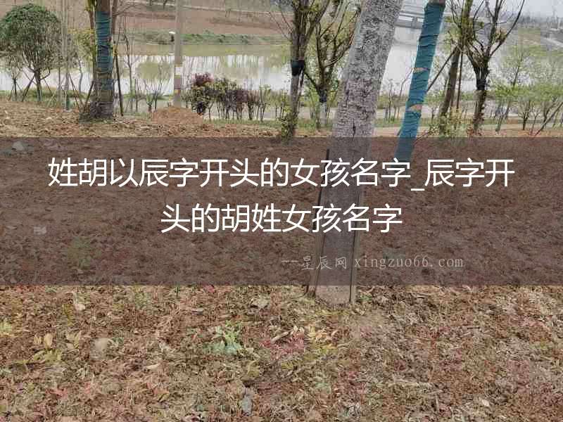 姓胡以辰字開頭的女孩名字_辰字開頭的胡姓女孩名字