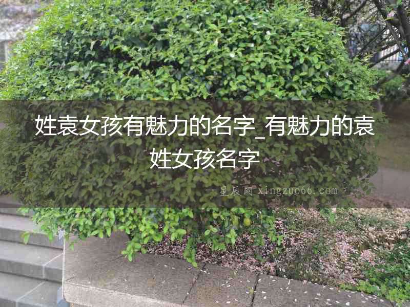 姓袁女孩有魅力的名字_有魅力的袁姓女孩名字