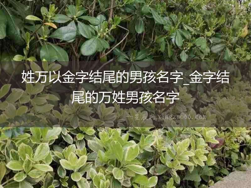 姓萬以金字結尾的男孩名字_金字結尾的萬姓男孩名字