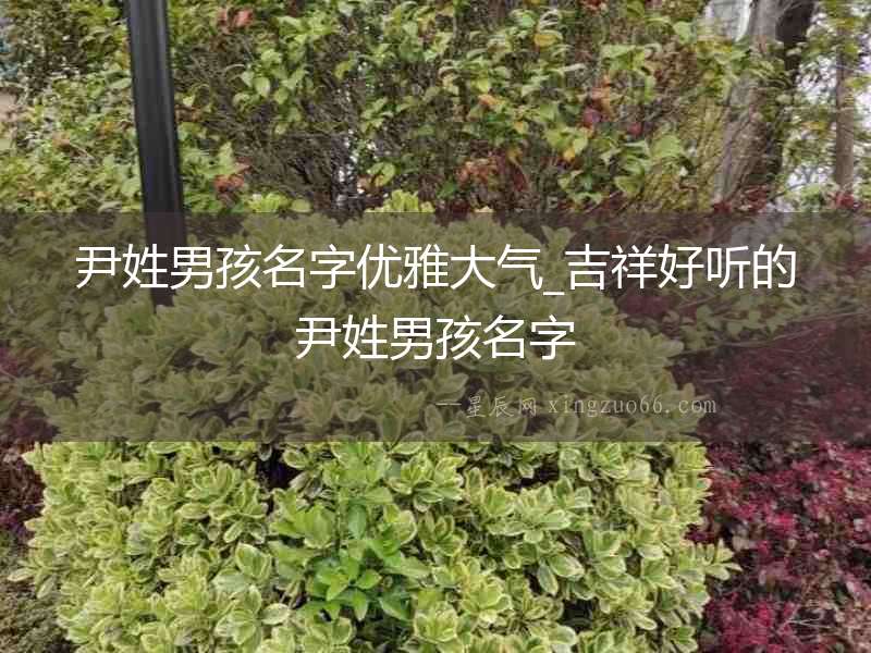 尹姓男孩名字優雅大氣_吉祥好聽的尹姓男孩名字