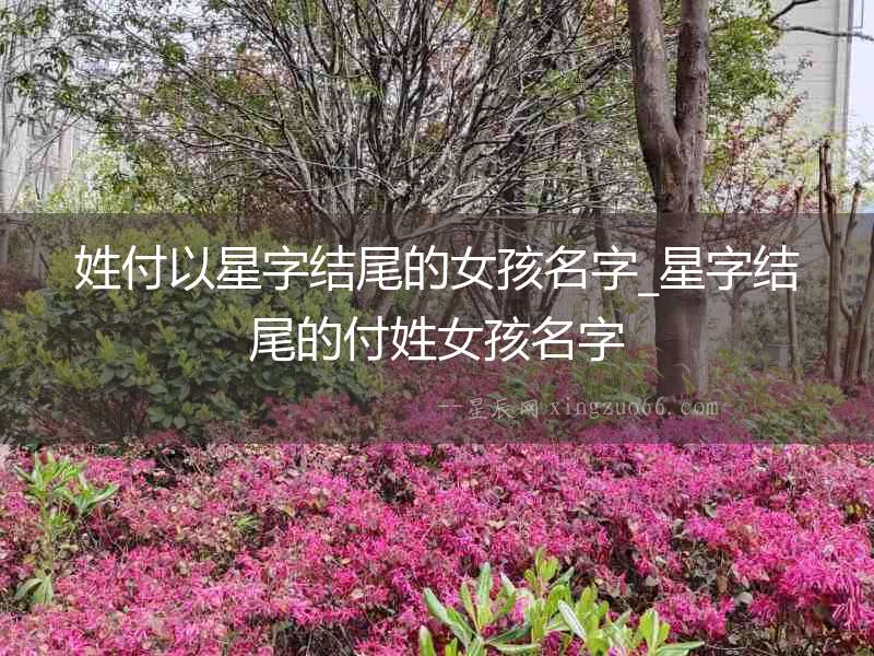 姓付以星字結(jié)尾的女孩名字_星字結(jié)尾的付姓女孩名字
