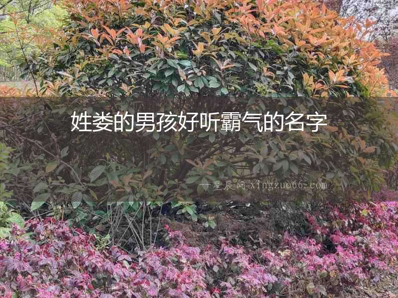 姓婁的男孩好聽(tīng)霸氣的名字