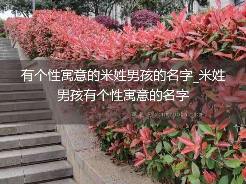有個性寓意的米姓男孩的名字_米姓男孩有個性寓意的名字