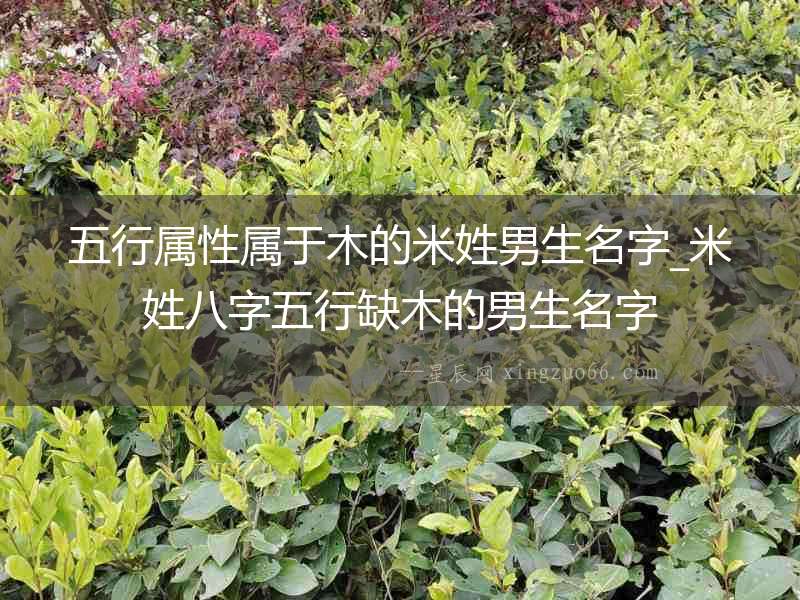五行屬性屬于木的米姓男生名字_米姓八字五行缺木的男生名字