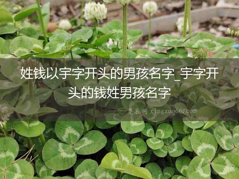 姓錢以宇字開頭的男孩名字_宇字開頭的錢姓男孩名字
