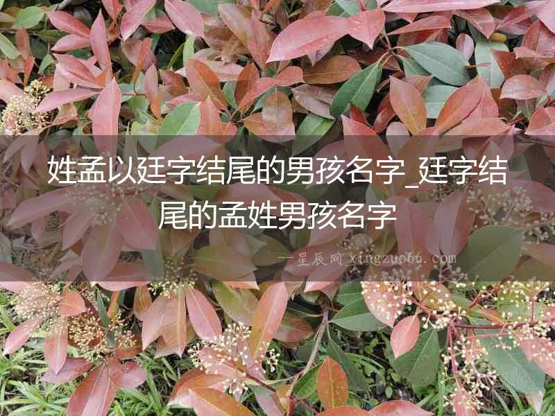 姓孟以廷字結(jié)尾的男孩名字_廷字結(jié)尾的孟姓男孩名字