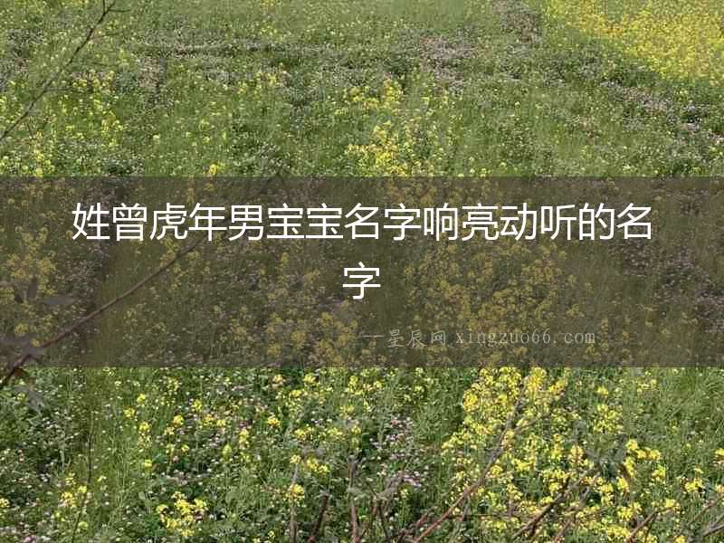 姓曾虎年男寶寶名字響亮動聽的名字