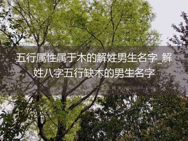 五行屬性屬于木的解姓男生名字_解姓八字五行缺木的男生名字