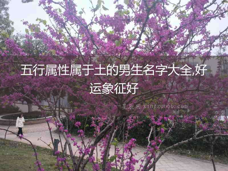 五行屬性屬于土的男生名字大全,好運象征好