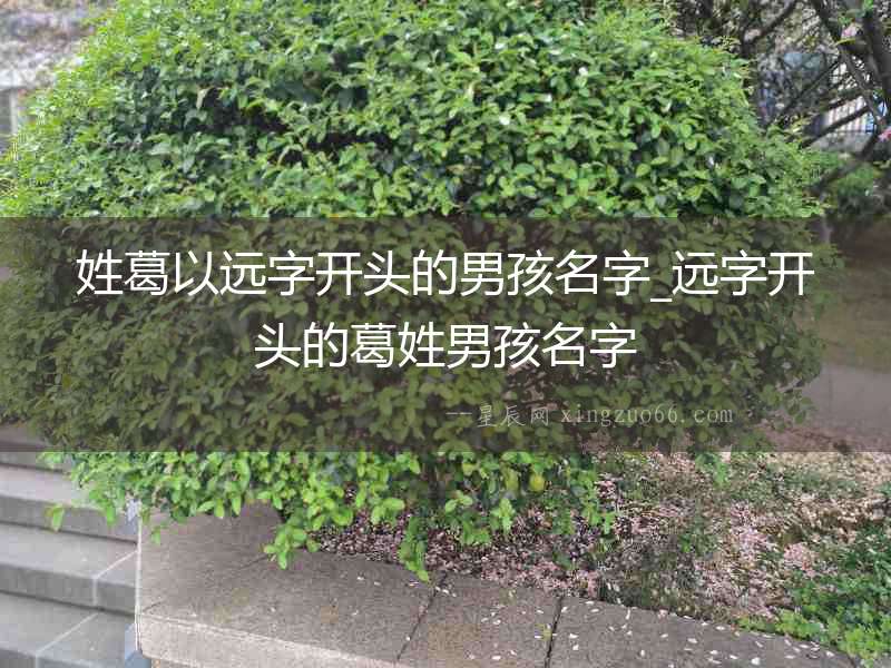 姓葛以遠(yuǎn)字開(kāi)頭的男孩名字_遠(yuǎn)字開(kāi)頭的葛姓男孩名字