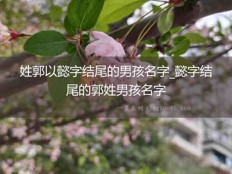 姓郭以懿字結(jié)尾的男孩名字_懿字結(jié)尾的郭姓男孩名字
