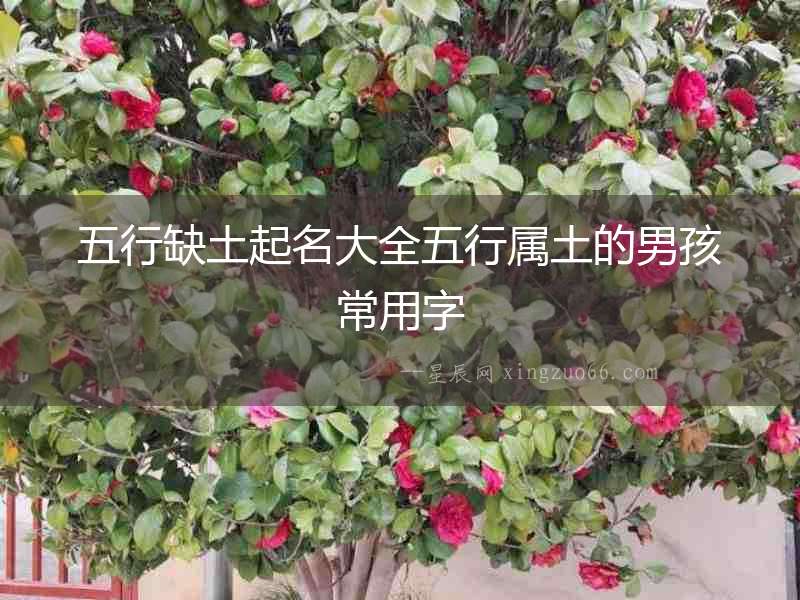 五行缺土起名大全五行屬土的男孩常用字