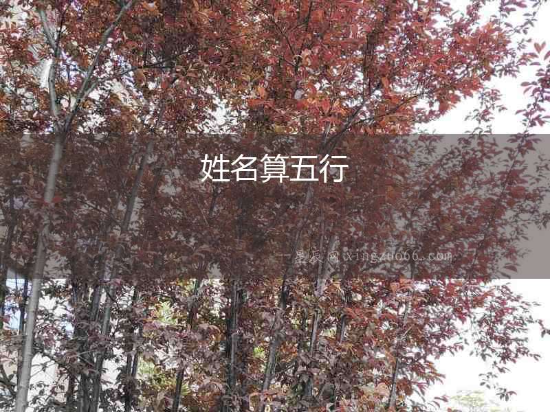 姓名算五行