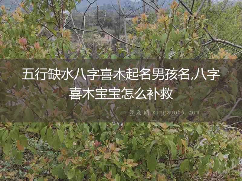 五行缺水八字喜木起名男孩名,八字喜木寶寶怎么補救