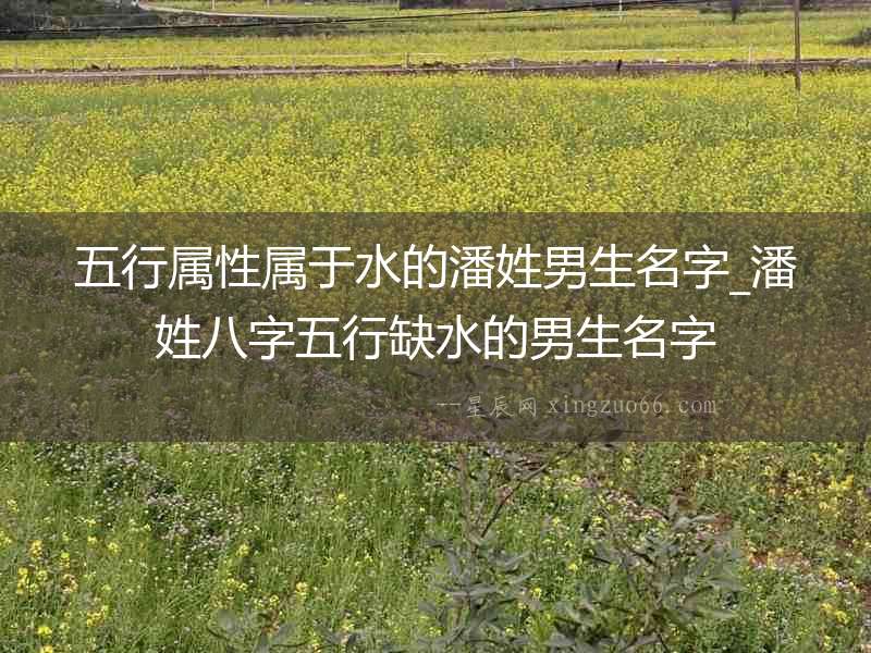 五行屬性屬于水的潘姓男生名字_潘姓八字五行缺水的男生名字