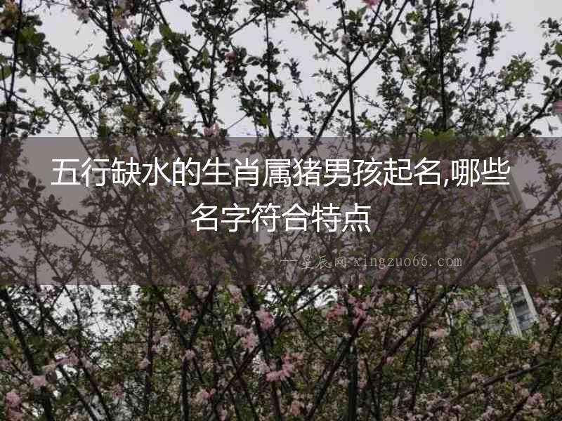 五行缺水的生肖屬豬男孩起名,哪些名字符合特點