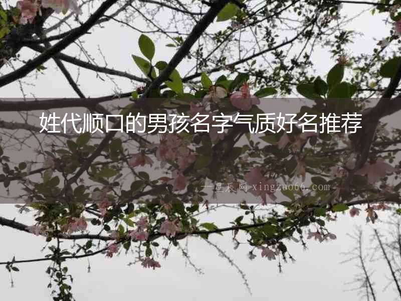 姓代順口的男孩名字氣質好名推薦