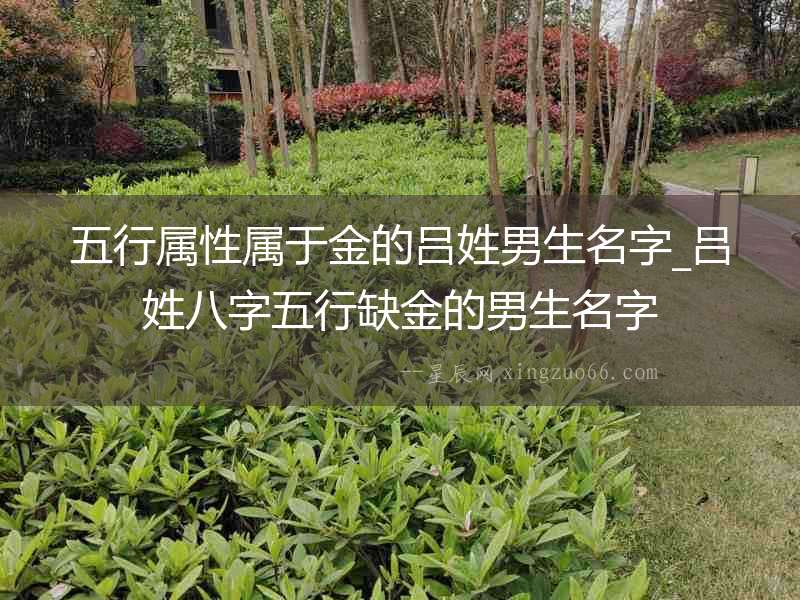 五行屬性屬于金的呂姓男生名字_呂姓八字五行缺金的男生名字