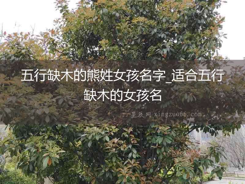 五行缺木的熊姓女孩名字_適合五行缺木的女孩名
