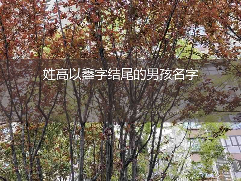 姓高以鑫字結尾的男孩名字