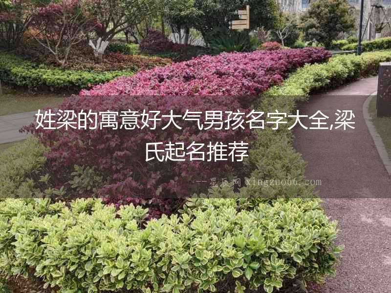 姓梁的寓意好大氣男孩名字大全,梁氏起名推薦