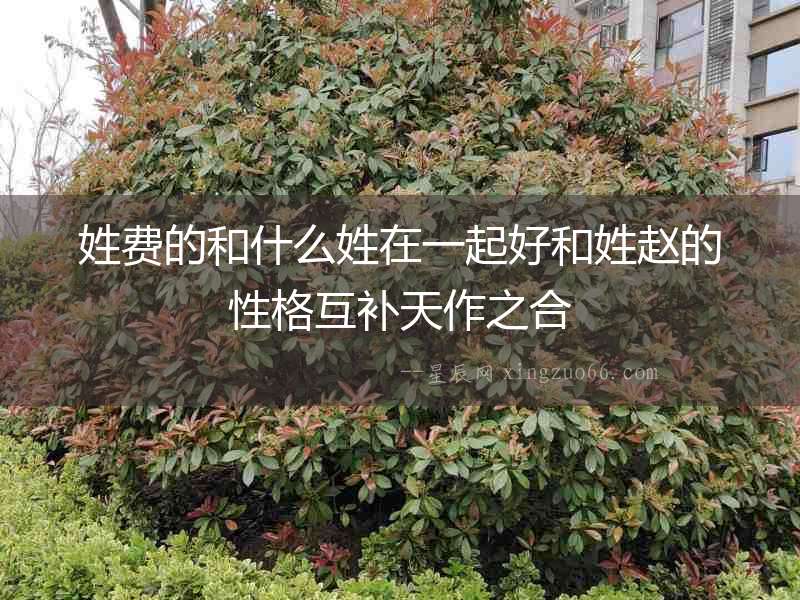 姓費的和什么姓在一起好和姓趙的性格互補天作之合