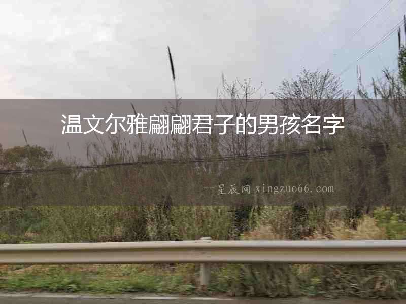 溫文爾雅翩翩君子的男孩名字